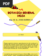 Botanica General Hoja Ok