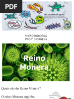 Reino Monera