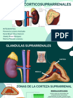 Hormonas Corticosuprarrenales