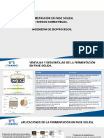 Fermentación en Fase Solida