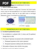 Virology Lecture 2