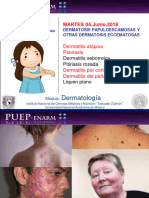 Clase - Derma1 .19