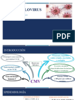 CITOMEGALOVIRUS