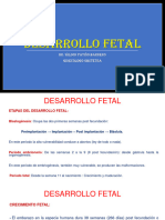 Desarrollo Fetal-1