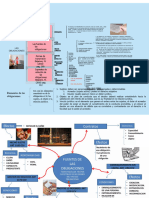 CuadroS SinópticoS Las Obligaciones