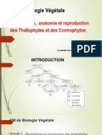 Jour 1 THALLOPHYTES 2024