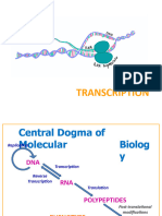 Transcription and Post Transcription