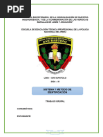 Sistema y Método de Identificación (1) .Docx Tabajo Grupal