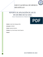 Reporte de Aplicación de Las 5S en Un Área de Su Casa