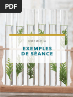 Module 11 - Exemples de Seance