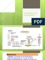 Metabolismo de Carbohidratos