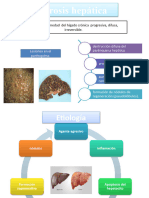 Cirrosis Hepatica