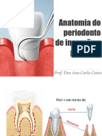 Slides - Aula 2 - Anatomia Do Periodonto de Inserção e Proteção - 14-03-23