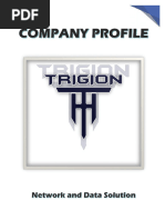 Company Profile Trigion Network and Data Solution