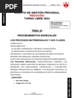 Tema 30 Procesos Matrimoniales 2024 