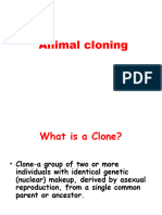 Animal Cloning