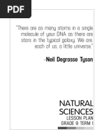 GR 9 Term 1 2019 Natural Sciences Lessonplan