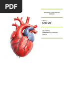 Anatomía y Fisiología Del Corazón