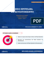 Clase 2 - Histologia Tejido Epitelial 2024-0