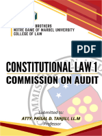 COMMISSION ON AUDIT Final Paper