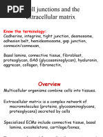 Junctions