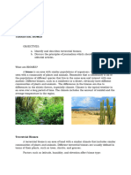 Group 5 - TERRESTIAL BIOME & Grassland