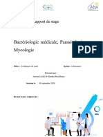 Rapport de Stage en Microbiologie Medica