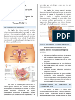 Sistema Reprodutor Feminino