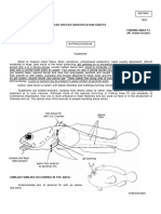 Fao Species Identification Sheets Fishing Area 51 (W. Indian Ocean)