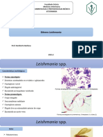 Aula - Leishmaniose