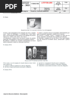 PDF Documento