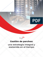 Gestión de Parches - Una Estrategia Integral y Sostenida en El Tiempo-1