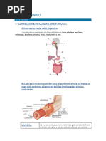 Cuestionariodigestivo