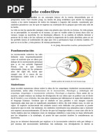 Carl Jung. Arquetipo e Inconciente Colectivo