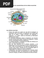 Micologia Trabajos