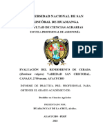 Informe de Practica Cebada Alcides Corregido 00001