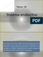 Sistema Endocrino