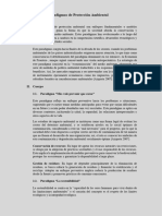 Ensayo Paradigmas de Protección Ambiental