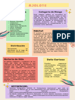 Infografía Trabajo Freelance Autónomo Simple Pastel-1