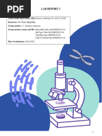 Lab Report 1