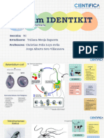 Álbum Identikit 3