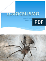 LOXOCELISMO