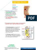 Peritoneo Pelvico