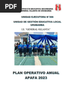 Plan Operativo Anual - Apafa - 2024