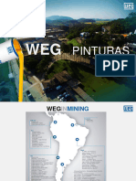 WEG - Presentación Minerías - Track Record