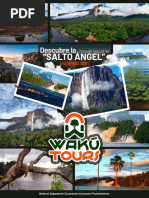 Viaje A Canaima, Salto Angel - 2023