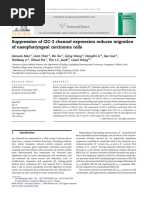 Suppression of ClC-3 Channel Expression Reduces Migration of Nasopharyngeal Carcinoma Cells