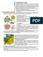 La Nutricion de Las Plantas