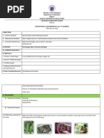 Contextualized Lesson Plan