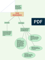 Ciclos Biogeoquímicos
